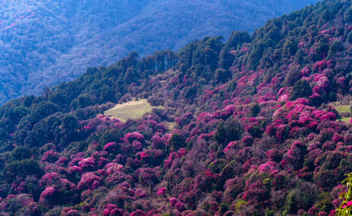 Trekking in Nepal in April